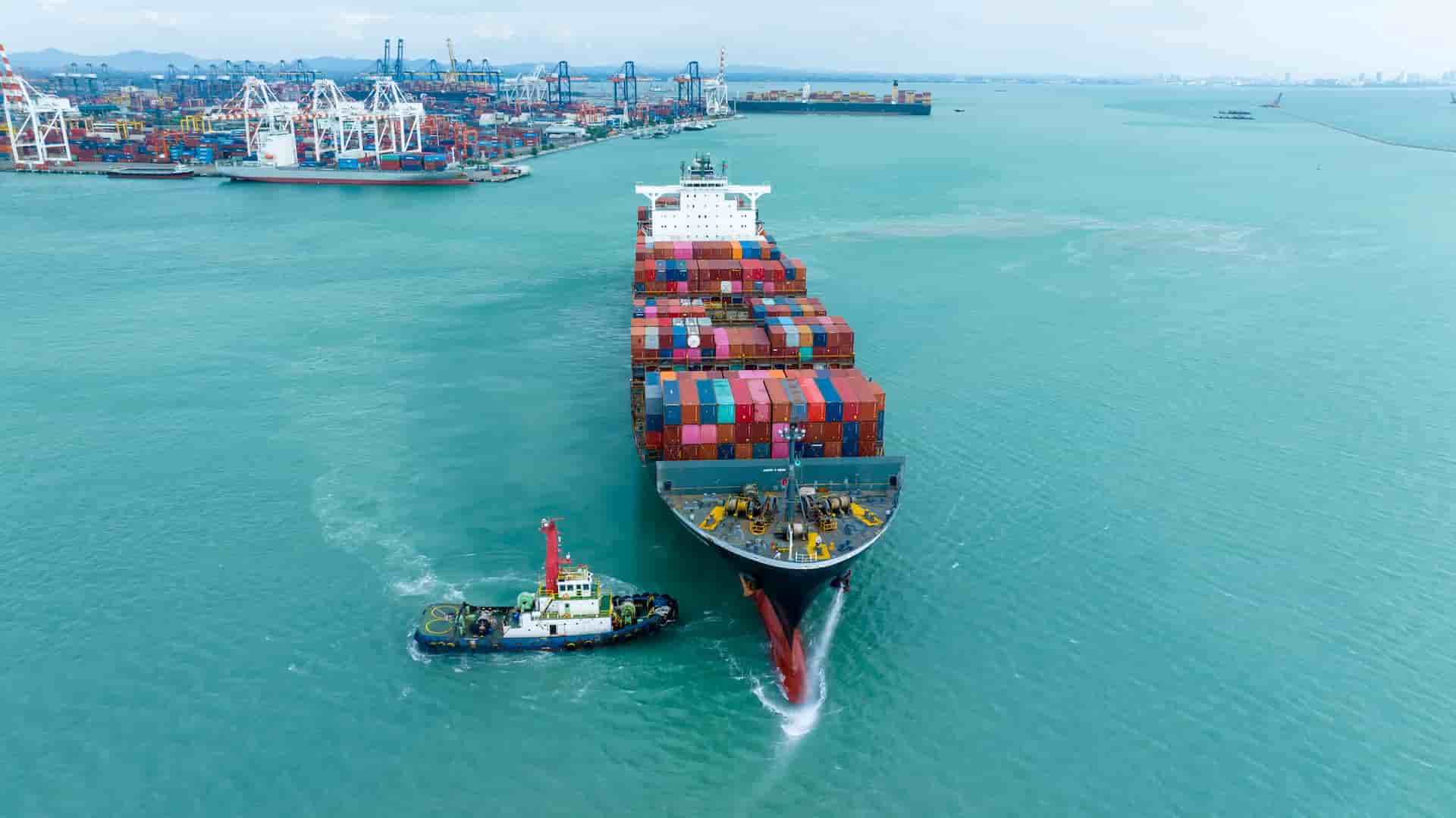 Uzman Kadro - 20+ Kişilik Ekip